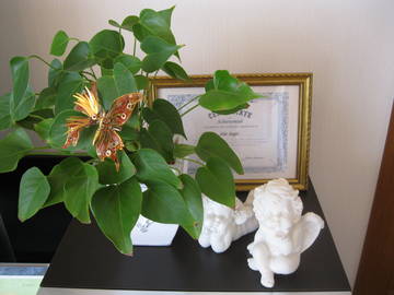 小顔・ボディ矯正　Salon・Michel | 和歌山のエステサロン