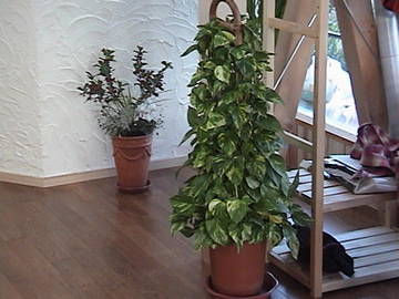 Hair Studio ｎａｔｉｖｅ | 甲府のヘアサロン