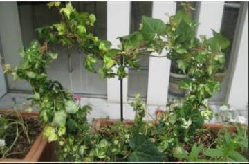 ぱあま屋美人 | 熊本のヘアサロン ぱあま屋美人 | 熊本のヘアサロン