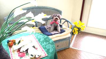 ビューティーサロンおしゃれ館 | 那須塩原のヘアサロン ビューティーサロンおしゃれ館 | 那須塩原のヘアサロン