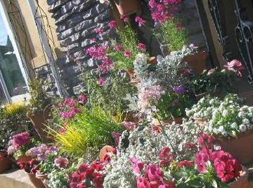 Lapis and Aries | 静岡のエステサロン