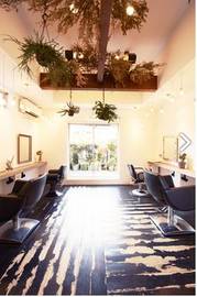 COME | 代官山のヘアサロン COME | 代官山のヘアサロン