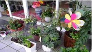 hanahana　青山店 | 姫路のヘアサロン