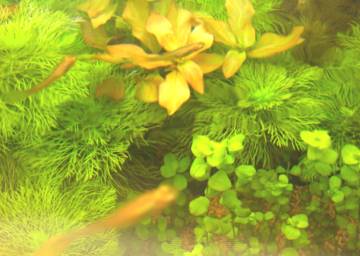 Hair make　grow+1 | 寝屋川のヘアサロン