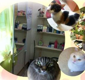 エリカ美容室 | 綾瀬のヘアサロン エリカ美容室 | 綾瀬のヘアサロン