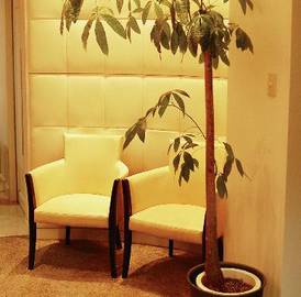 HERBE | 川西のヘアサロン HERBE | 川西のヘアサロン