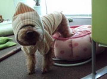 りらく整体 森のウタ | 宇都宮のリラクゼーション