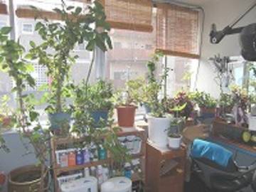 Dears | 姫路のヘアサロン Dears | 姫路のヘアサロン