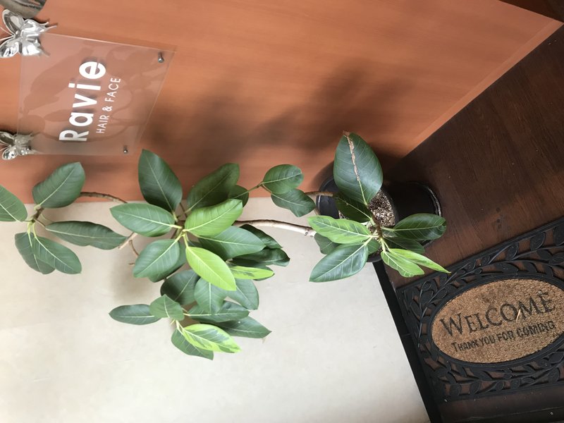 Ravie | 新大阪のヘアサロン