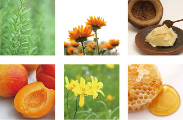 K&K　広田店 | 西宮のヘアサロン