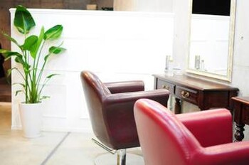 Hula hair | 三軒茶屋のヘアサロン