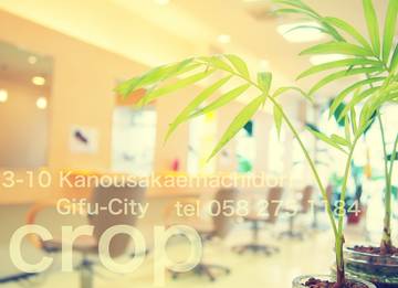 美容室 crop | 岐阜のヘアサロン