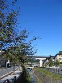 SCHERE | 八王子のヘアサロン