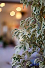 picture hair design | 山形のヘアサロン picture hair design | 山形のヘアサロン