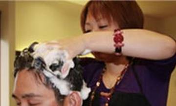 PLUS Cure Hair&Health | 大垣のヘアサロン PLUS Cure Hair&Health | 大垣のヘアサロン