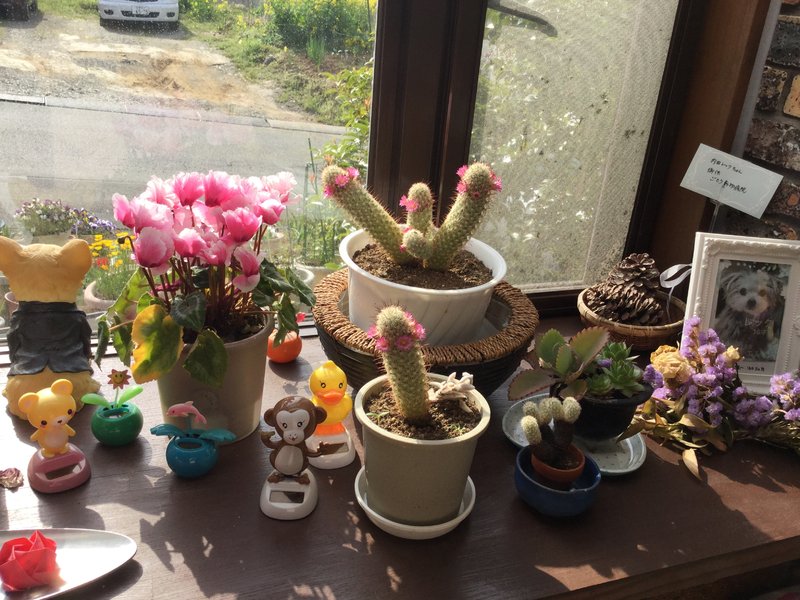 ティエム | 富士のヘアサロン