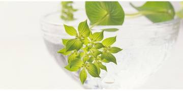 anri | 西宮のヘアサロン