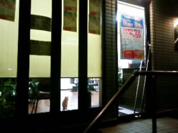 美容室亜都利絵 | 河内長野のヘアサロン