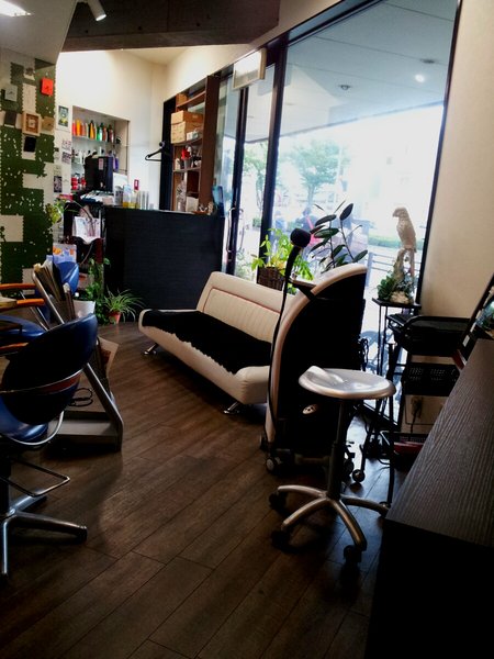 under one umbrella. | 岡山のヘアサロン under one umbrella. | 岡山のヘアサロン