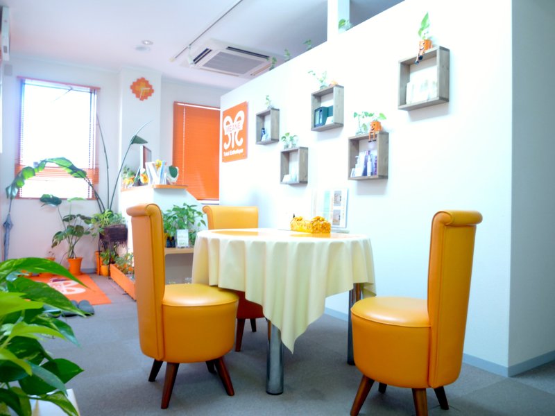 トータルエステティーク MEANE | 新発田のエステサロン