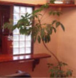 Sorriso | 糸魚川のヘアサロン