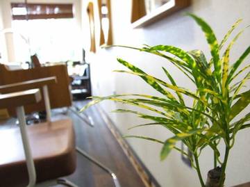 BoBo | 三条のヘアサロン