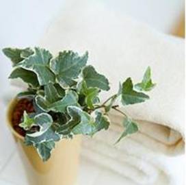 Salon Ciel 下館店 | 筑西のエステサロン Salon Ciel 下館店 | 筑西のエステサロン