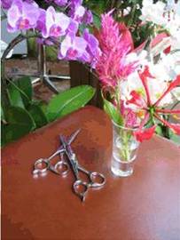 Design FAM | 北千住のヘアサロン