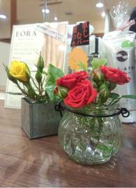 hair salon full | 新潟のヘアサロン