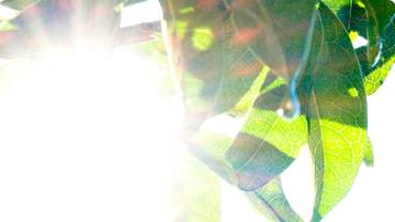 ＲＥＧＡＲＯＨＡＩＲ | 中津川のヘアサロン