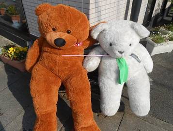 プレーゴ | 三次のヘアサロン