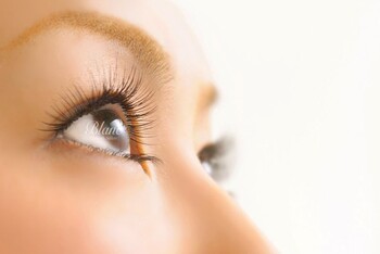 Eyelash Salon Blanc まつげと眉専門 トレッサ横浜店 アイラッシュサロンブラントレッサヨコハマテン 神奈川県 横浜 のマツエク まつげパーマ ビューティーパーク