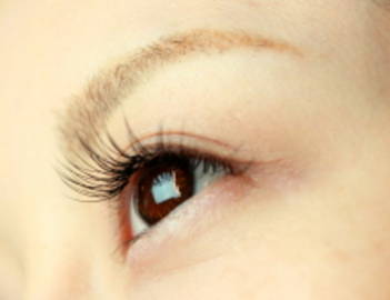 BUTTERFLY LASH | 御茶ノ水のアイラッシュ BUTTERFLY LASH | 御茶ノ水のアイラッシュ