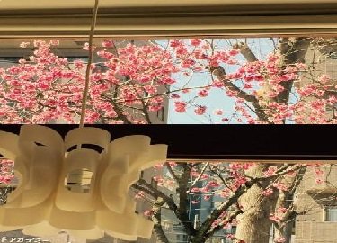 hair make Flow | 八千代のヘアサロン