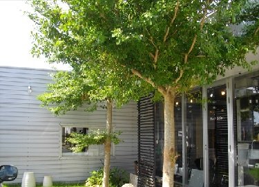 ヘアサロン＆振袖ショールームRoot | 宮古島のヘアサロン