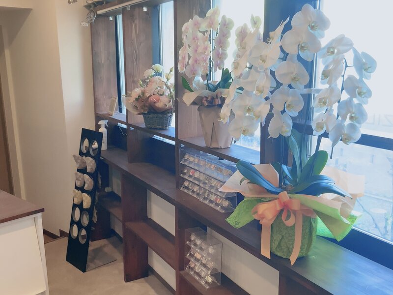 Lucia | 橋本のリラクゼーション