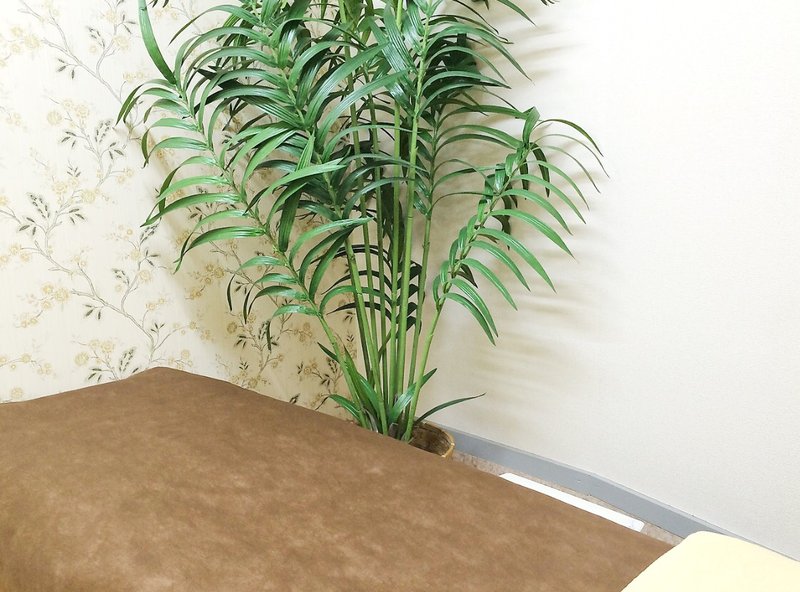 BODYQA | 鎌取のアイラッシュ