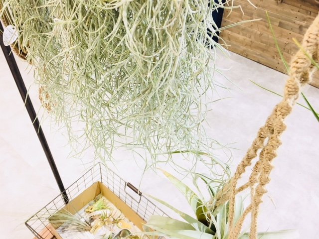 sanco. | 長野のヘアサロン sanco. | 長野のヘアサロン