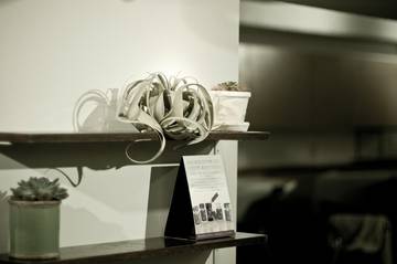 GRACE ALLEY | 梅田のヘアサロン GRACE ALLEY | 梅田のヘアサロン