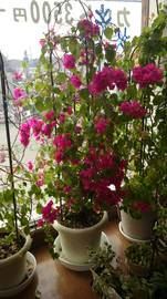 ヘアーマジックフローレンオンリーワン | 八王子のネイルサロン