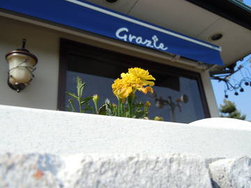 HAIR&FACIAL  Grazie | 岩倉のヘアサロン