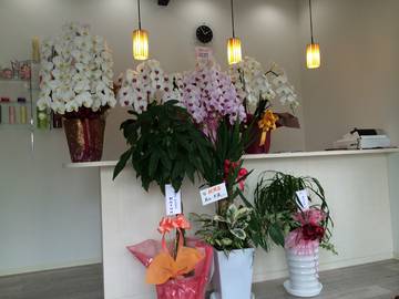 scudetto | 荒尾のヘアサロン