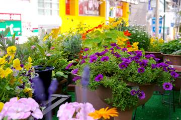 ビューティサロンイワマ 本店 | 戸塚のヘアサロン ビューティサロンイワマ 本店 | 戸塚のヘアサロン