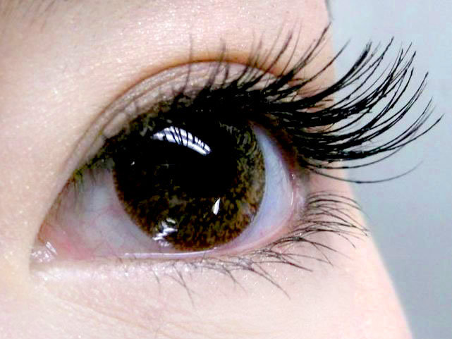 まつげエクステ・ヘアエクステ専門　レディア所沢店 | 所沢のアイラッシュ