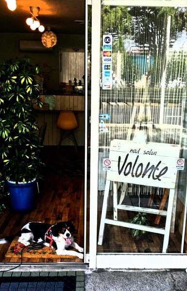 nailsalon Volonte | 青森のネイルサロン