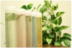 enchante 【アンシャンテ】 | 高宮/大橋/井尻のヘアサロン