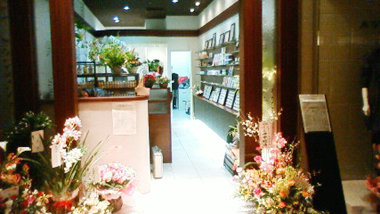 Nail Salon Stella di venere イオン北見店 | 北見のネイルサロン