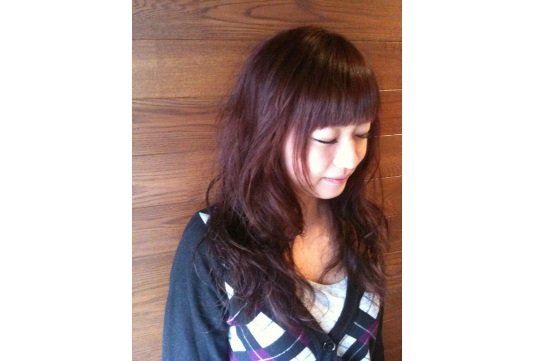 schon | 大東のヘアサロン