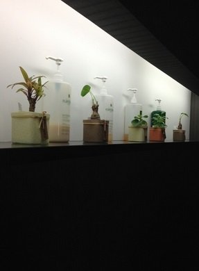 spaim　福崎店 | 加西のヘアサロン