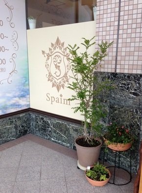 spaim　福崎店 | 加西のヘアサロン